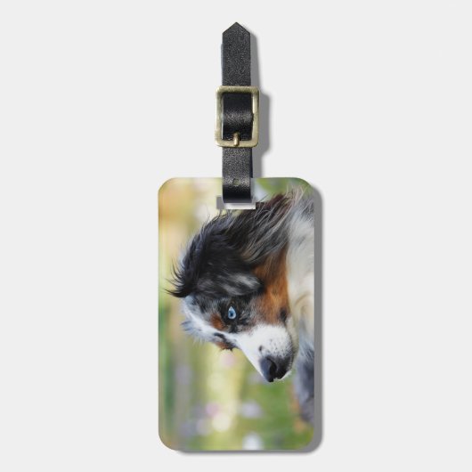 Australischschäfer Gepäckanhänger (Vorderseite vertikal)