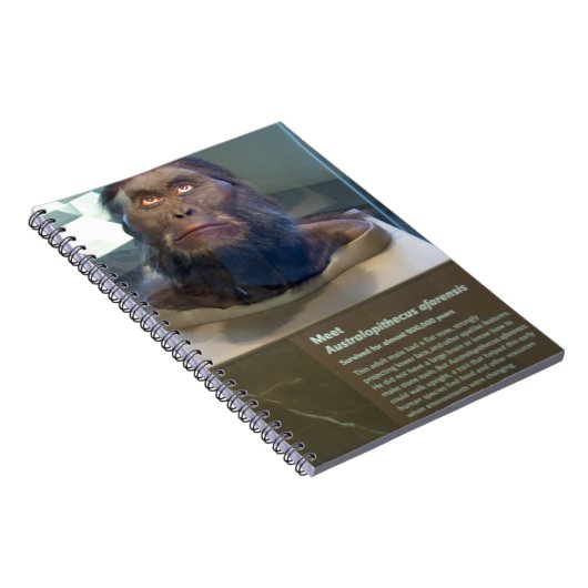 Australopithecus afarensis; Museumsausstellung Notizblock (Rechte Seite)