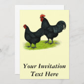 Australorp Black Chickens Einladung (Vorne/Hinten)