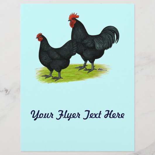 Australorp Black Chickens Flyer (Vorne)