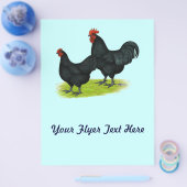 Australorp Black Chickens Flyer (Einzeln)