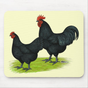 Australorp Black Chickens Mousepad