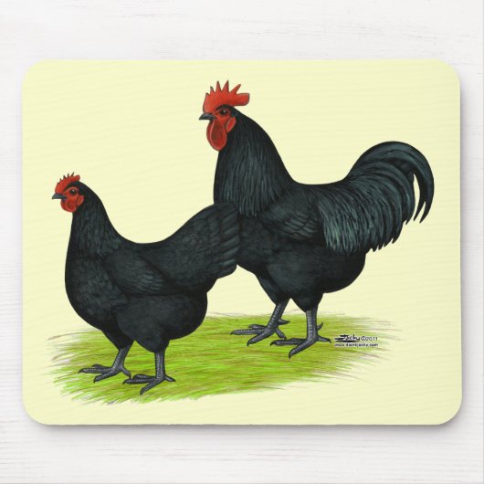 Australorp Black Chickens Mousepad (Vorne)