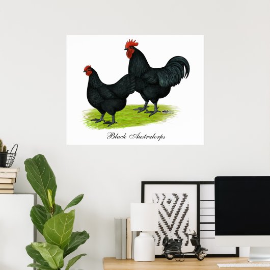Australorp Black Chickens Poster (Heimbüro)