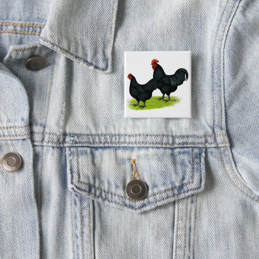 Australorp schwarze Hühner Button (Beispiel)