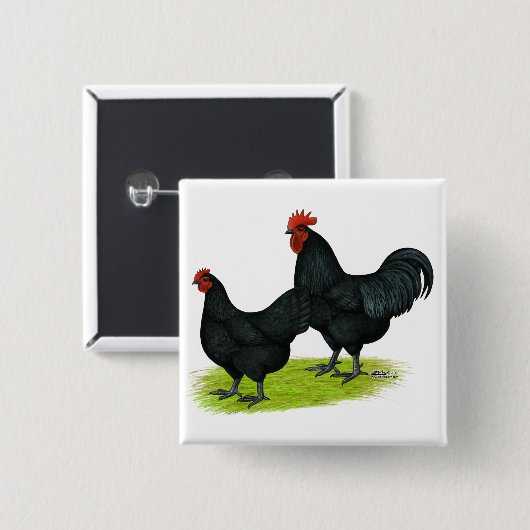 Australorp schwarze Hühner Button (Vorne & Hinten)