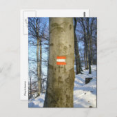 Austria-Fahne Postkarte (Vorne/Hinten)