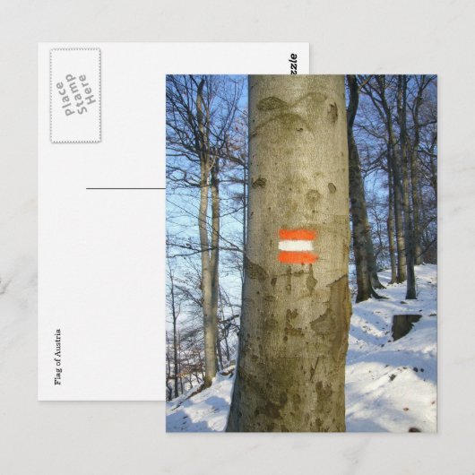 Austria-Fahne Postkarte (Vorne/Hinten)