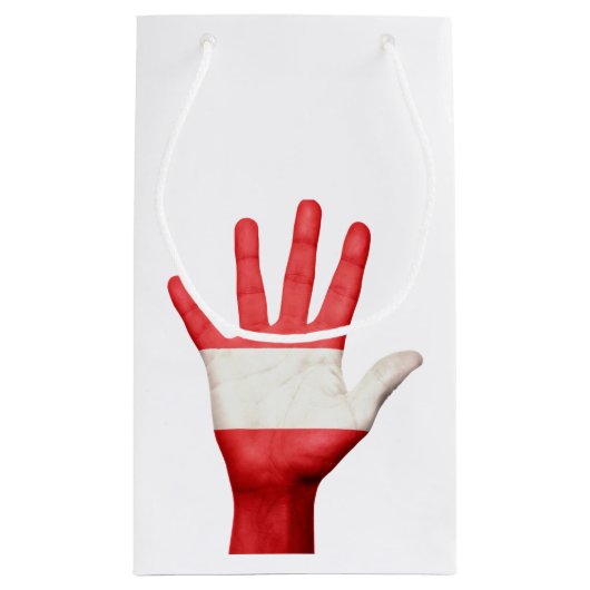 Austria Flag Hand Design Geschenkboxen Kleine Geschenktüte (Rückseite)