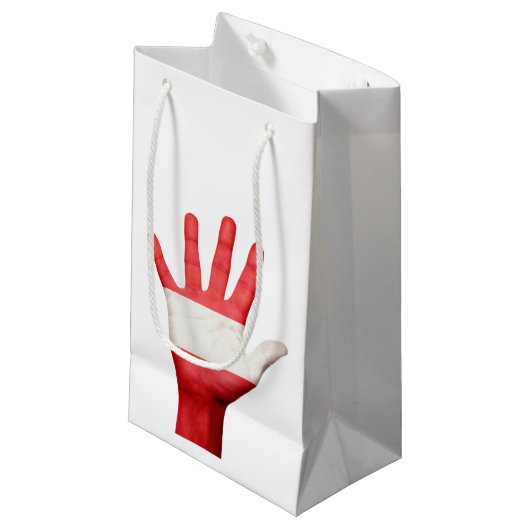 Austria Flag Hand Design Geschenkboxen Kleine Geschenktüte (Vorderseite Schrägansicht)