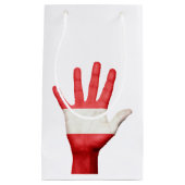 Austria Flag Hand Design Geschenkboxen Kleine Geschenktüte (Vorderseite)
