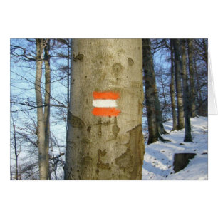 austrische Baumflagge