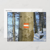 austrische Flagge Postkarte (Vorne/Hinten)