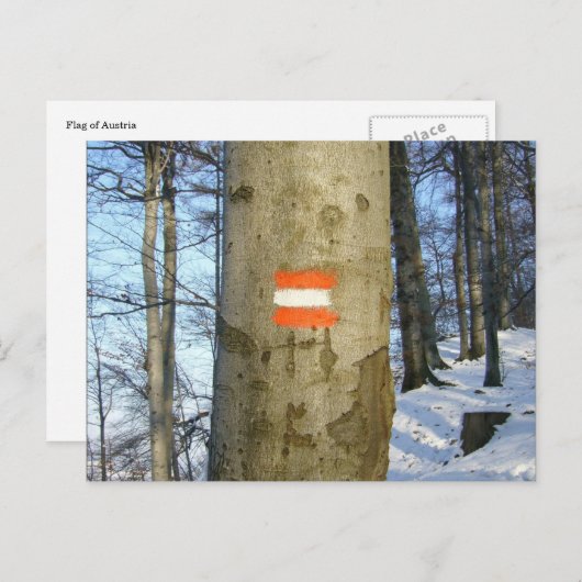 austrische Flagge Postkarte (Vorne/Hinten)