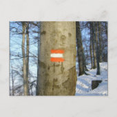 austrische Flagge Postkarte (Vorderseite)