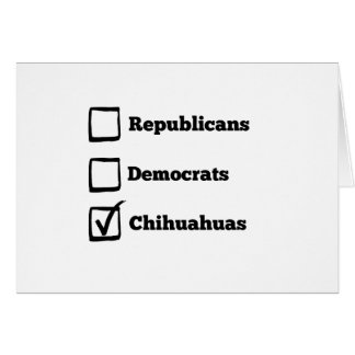 Auswahl-Chihuahua! Politische Wahl-Chihuahua