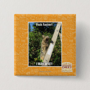 Auswahl schneller! button