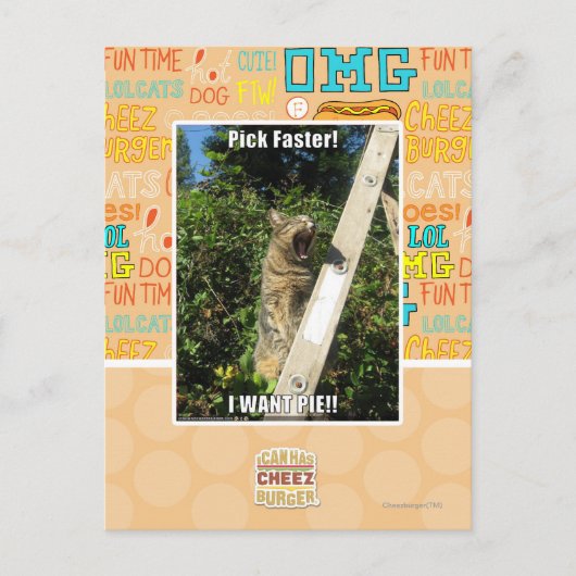 Auswahl schneller! postkarte (Vorderseite)