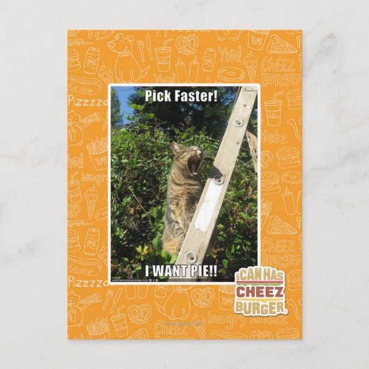 Auswahl schneller! postkarte (Vorderseite)