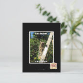 Auswahl schneller! postkarte (Stehend Vorderseite)