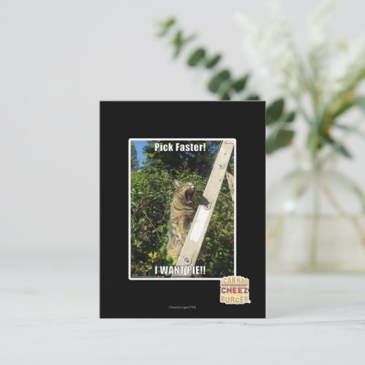 Auswahl schneller! postkarte (Stehend Vorderseite)