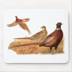 Ausweichende Fasan-Vogel-Jagd Mousepad