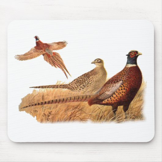 Ausweichende Fasan-Vogel-Jagd Mousepad (Vorne)