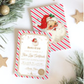 Ausweis für das Festivals "Strip Nice" Einladung