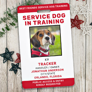 Ausweis für Servicehund in Ausbildung Personalisie