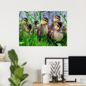 Auswirkungen auf Vögel 11 verschwommene Poster (Heimbüro)