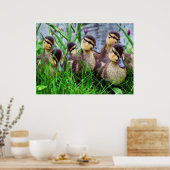 Auswirkungen auf Vögel 11 verschwommene Poster (Küche)