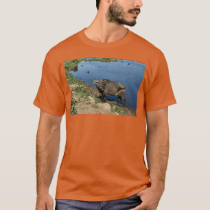 Authentische vietnamesische Büffel und Reisfelder T-Shirt