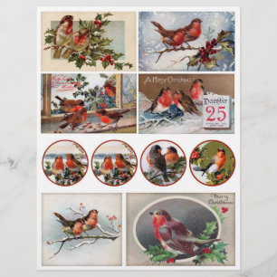 Authentische Viktorianische Postkarten mit Robins