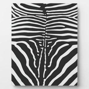 Authentische Zebra-Skin-Printwerbung - Schwarz-wei Fotoplatte