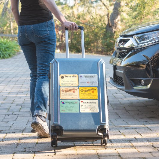 Authentischer Alaska- und Pazifischer Dampfschiffp Aufkleber (Koffer Insitu)