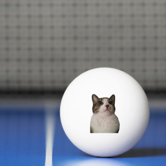 Authentischer Katzen-Ball Tischtennisball (Netto)