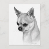 Authentisches Chihuahua-Artwork Postkarte (Vorderseite)