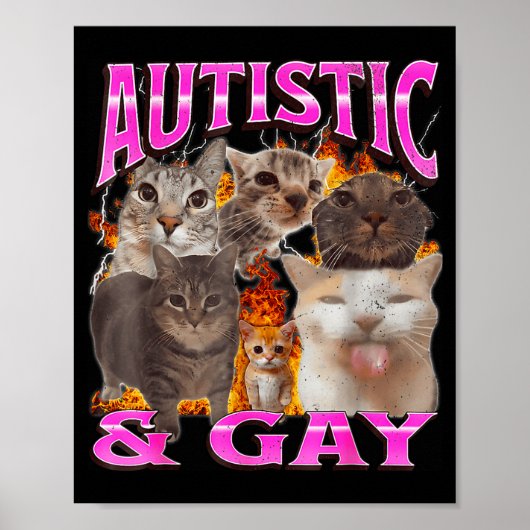 Autistic And Gay Funny Cat Meme Bootleg Graphic  Poster (Vorne)