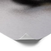 Auto Auburn851 Poster (Ecke)