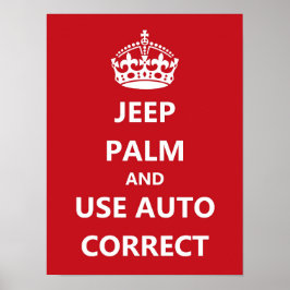 Auto Korrektes Poster