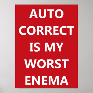 Auto Korrektes Poster
