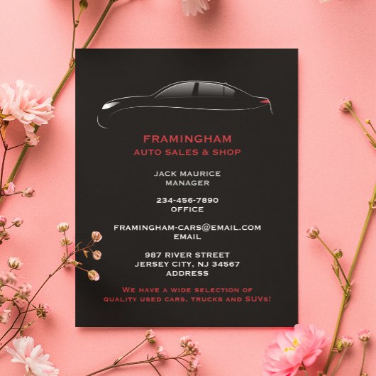 Auto Sale Bold Flyer