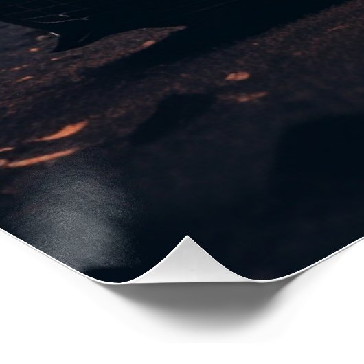 Auto-Serie 1-6 Poster (Ecke)