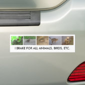 Autoaufkleber (Auf Auto)