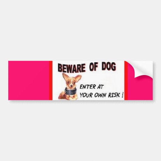 AUTOAUFKLEBER (Vorne)