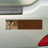 Autoaufkleber (Auf Auto)