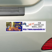 Autoaufkleber (Auf Auto)