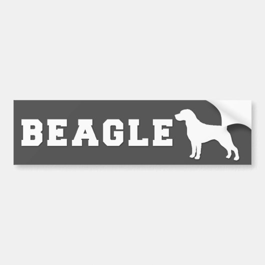 Autoaufkleber-Beagle - Grau Autoaufkleber (Vorne)