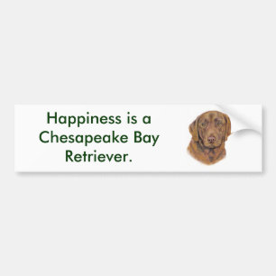 Autoaufkleber: Chesapeake Bucht-Retriever Autoaufkleber