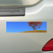 Autoaufkleber des Herbsttages löschen (Auf Auto)
